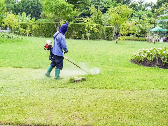 Cleaning Image