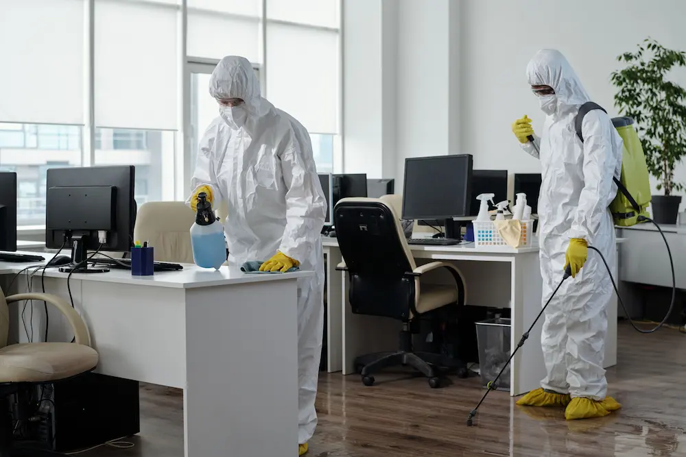 Cleaning Image